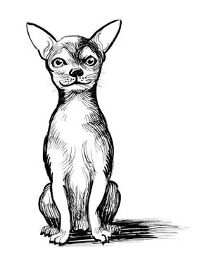 Sitting dog Illustrazione stock