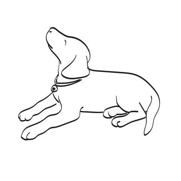 Sitting dog looking up illustration vector isolated on white background Stockillustratie