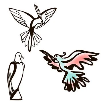 Sitting eagle and Parrot Line Art. 스톡 일러스트