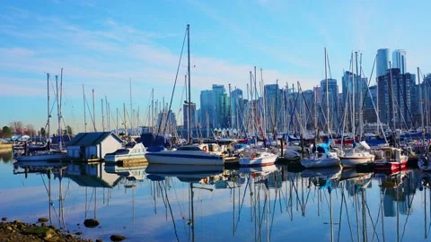 Sitting on the edge of Fraser river in a beautiful park Vidéo 144456379