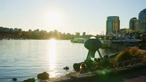 Sitting on the edge of Fraser river in a beautiful park Vidéo 144465017