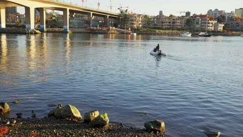 Sitting on the edge of Fraser river in a beautiful park 動画素材 144465220