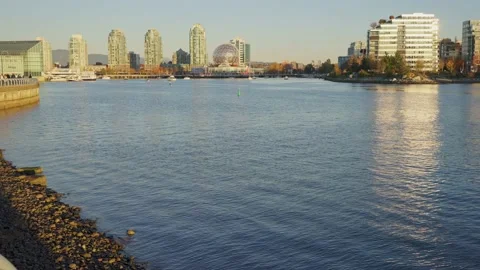 Sitting on the edge of Fraser river in a beautiful park Vídeo Stock 144465256