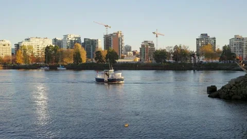 Sitting on the edge of Fraser river in a beautiful park 库存影片 144465430