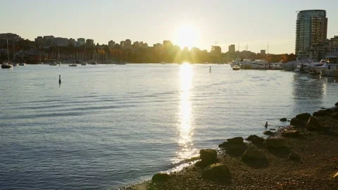 Sitting on the edge of Fraser river in a beautiful park Vídeos de archivo 144465502