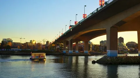 Sitting on the edge of Fraser river in a beautiful park Vídeo Stock 144465719