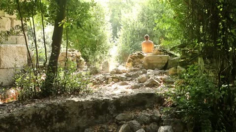 Sitting in the forest Stock Footage 10607494