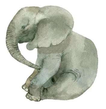 Sitting funny elephant Stock Illustration