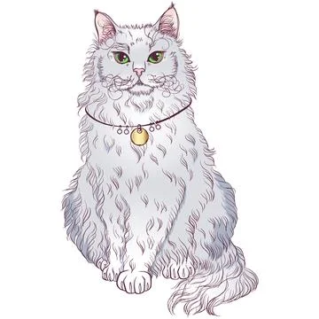 Sitting La Perm cat breed Stock Illustration
