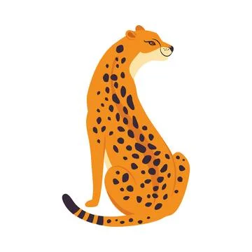 Sitting Leopard as Wild Cat with Long Spotted Body Vector Illustration 스톡 일러스트