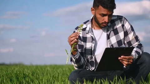 Sitting, looking at plant, holding notepad. Stock Footage 243639982