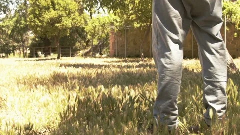 Sitting over the fresh grass Stock Footage 171175674