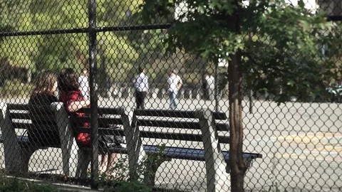 Sitting on a park bench in Brooklyn Video stock 72566705