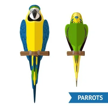 Sitting Parrots Set Stock Illustration