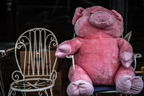Sitting pig Foto stock