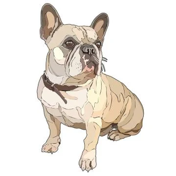 Sitting pug Illustrazione stock