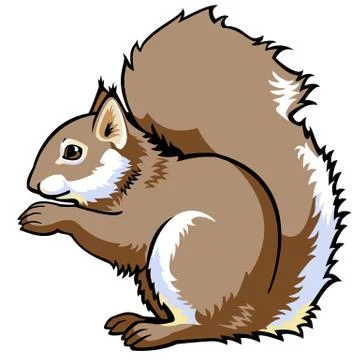 Sitting squirrel Stock Illustration
