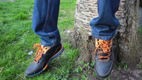 Sitting on the stumps Stock Footage 75888355