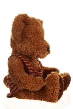 Sitting teddy Foto stock