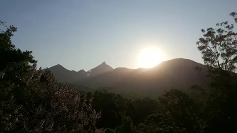 Sitting in the trees watching the sun go down over Mt Warning 스톡 동영상 254038338