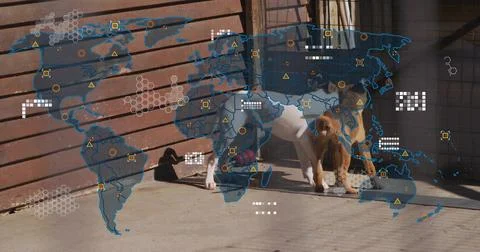 Sitting two collared dogs cuddling on sunlit porch floor, with world map overlay Stock Photos
