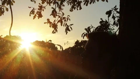 Sitting under an oak tree in summer Stock Footage 72557982