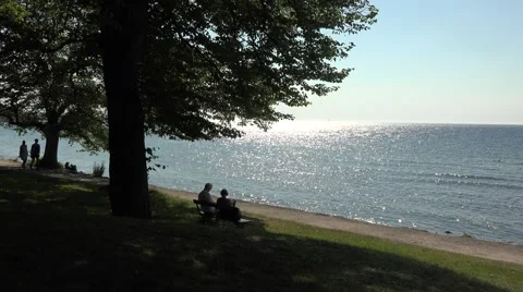 Sitting under a tree by the sea in gotland Stock Footage 47073144