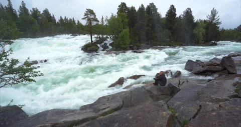Sitting at wild river Stock Footage 173738694