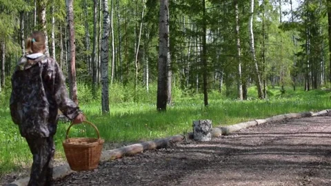 Sitting on wooden stump tree in forest and look . traveler woman hiking Stock Footage 132109063