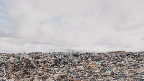 Сity garbage dump, environmental pollution due to lack of recycling technology Stockbeeldmateriaal 97695072