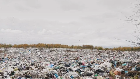 Сity garbage dump, environmental pollution due to lack of recycling technology Stockbeeldmateriaal 97695846