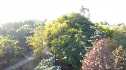 Sity park 스톡 동영상 68611728