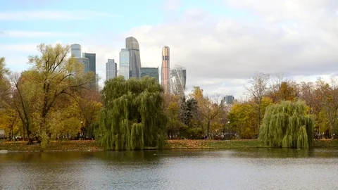 Сityscape in the park Видео 81795114