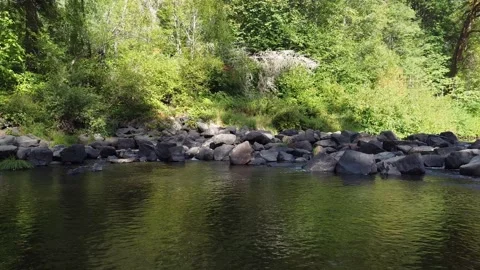 Siuslaw River Stock Footage 160239409