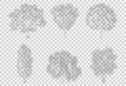 Six architectural trees isolated on transparent background for elevation view Stock Illustration