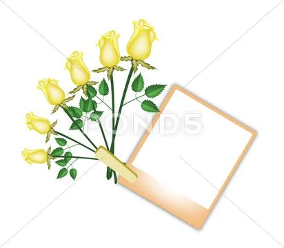 Six Beautiful Roses with Brown Blank Photo Stock Illustration