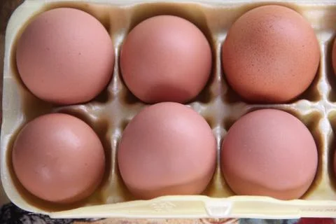 Six brown chicken eggs Stock Photos