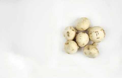 Six  champignons on a white background Stock Photos