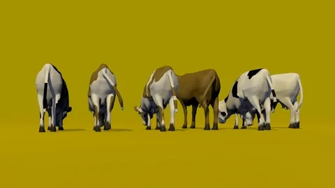 SIX COWS EATING GRASS BACK VIEW Vídeos de archivo 74996161