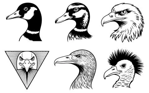 Six Different Bird Heads in Black and White Line bird beaks Stock Illustration