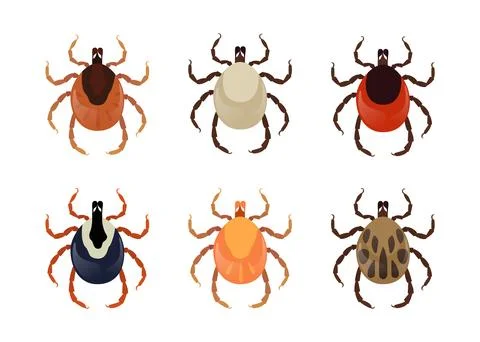 Six different types of mites on a white background Stock Illustration