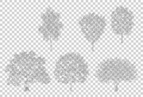 Six diverse trees and foliage isolated on transparent background Stock Illustration