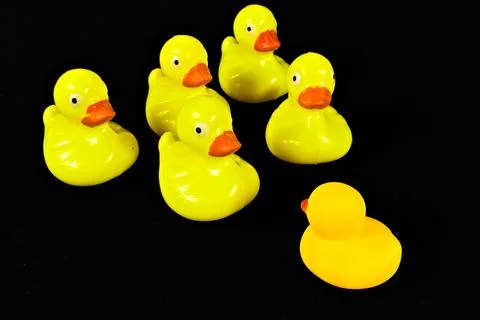 Six Ducks on Black Background Foto stock