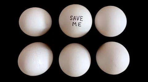 Six eggs in a group and one of them has a slogan as "Save Me" - Black Background Foto stock