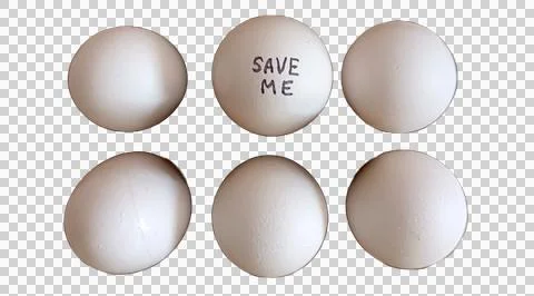 Six eggs in a group and one of them has a slogan as "Save Me" - No Background Foto stock