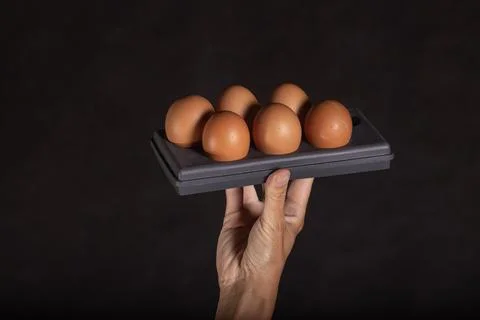 Six eggs insideplastiv tray Stock Photos