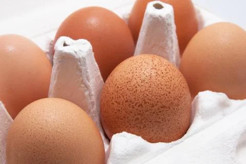 Six eggs Stock Photos