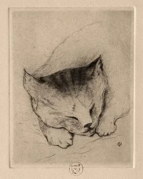 Six Etchings: Head of a Kitten, 1895. Paul Gachet (French, 1828-1909). Etch.. Stock Illustration