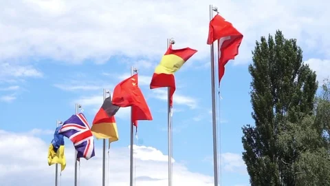 Six flags waving on flag poles Stock Footage 78102148