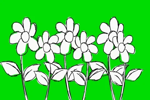 Six Flowers Growing- Animation - Hand-Drawn - Green Screen - Loop Vidéo 68614599